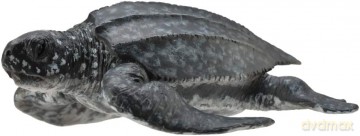 Żółw skórzasty [FIGURKA]