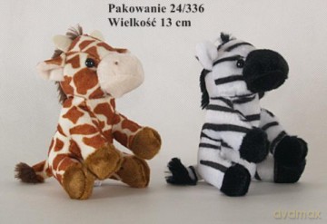 Żyrafa/zebra