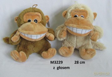Małpa