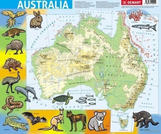 Puzzle ramkowe. Australia. Mapa fizyczna [PUZZLE]
