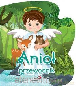 Anioł przewodnik - Ks. Bogusław Zeman [KSIĄŻKA]