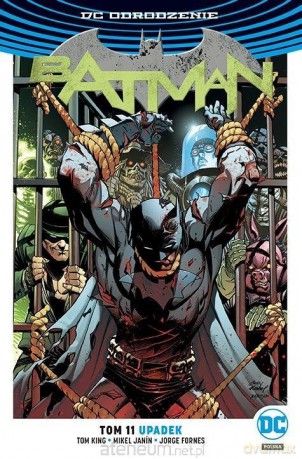 Batman (Tom 11) Upadek - Tom King [KOMIKS]