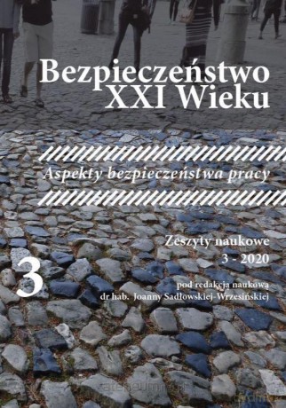 Bezpieczeństwo XXI Wieku [KSIĄŻKA]