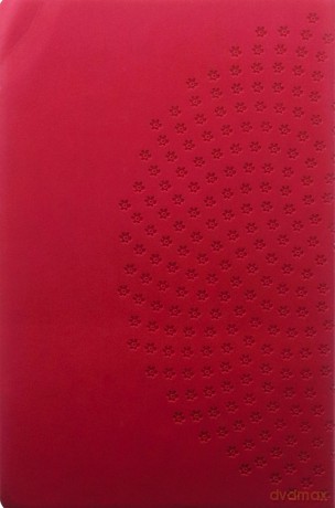 Biblia dla kobiet [KSIĄŻKA]