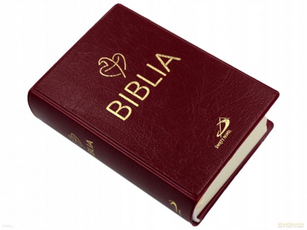 Biblia Tabor - bordowa PCV [KSIĄŻKA]