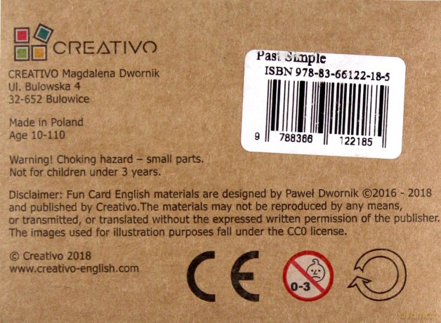 Fun Card English Past Simple [KSIĄŻKA]