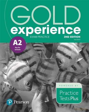 Gold Experience 2ed A2 Exam Practice - Sue Elliott [KSIĄŻKA]