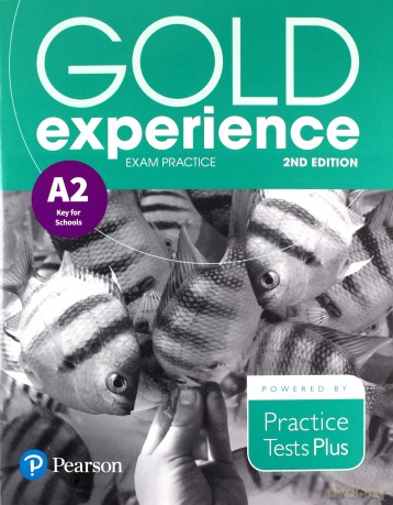 Gold Experience 2ed A2 Exam Practice - Sue Elliott [KSIĄŻKA]