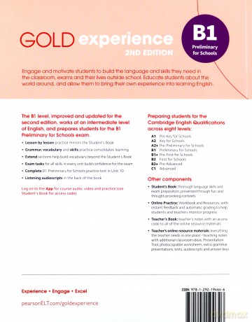Gold Experience 2ed B1 ćwiczenie - Lindsay Warwick, Lucy Frino [KSIĄŻKA]