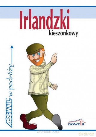 Irlandzki kieszonkowy w podróży - Martinek Katarzyna [KSIĄŻKA]