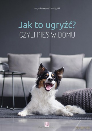 Jak to ugryźć? Czyli pies w domu - Magdalena Łęczycka-Mrzygłód [KSIĄŻKA]