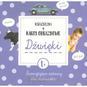 Karty obrazkowe Poznaję Świat Dźwięki - Natalia Minge, Krzysztof Minge [KSIĄŻKA]
