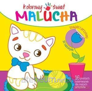 Kolorowy świat malucha. Kot [KSIĄŻKA]