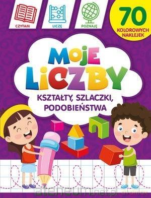 Moje liczby: Kształty, szlaczki, podobieństwa - Krzysztof Wiśniewski, Monika Kalinowska [KSIĄŻKA]