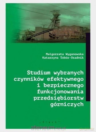 Studium wybranych czynników efektywnego - Katarzyna Tobór-Osadnik, Małgorzata Wyganowska [KSIĄŻKA]