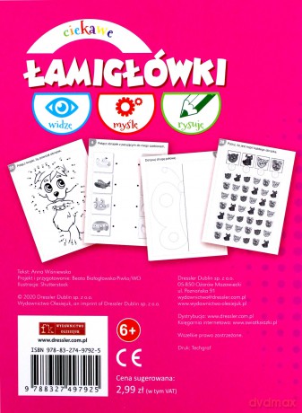 Widzę, myślę, rysuję. Ciekawe łamigłówki [KSIĄŻKA]