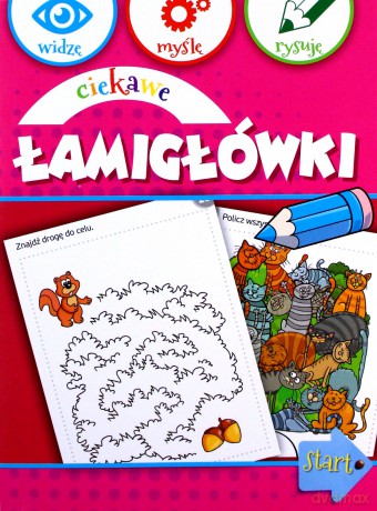 Widzę, myślę, rysuję. Ciekawe łamigłówki [KSIĄŻKA]