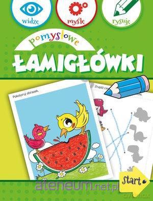 Widzę, myślę, rysuję. Pomysłowe łamigłówki [KSIĄŻKA]