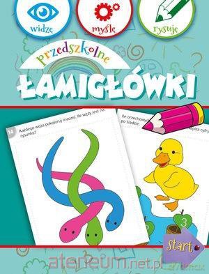 Widzę, myślę, rysuję. Przedszkolne łamigłówki [KSIĄŻKA]