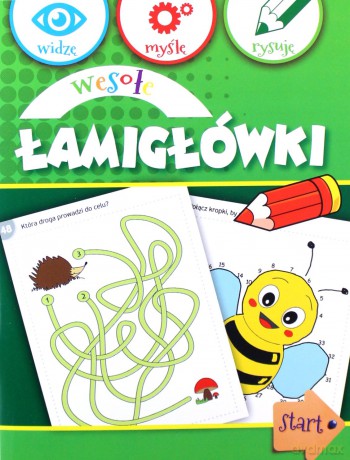 Widzę, myślę, rysuję. Wesołe łamigłówki [KSIĄŻKA]