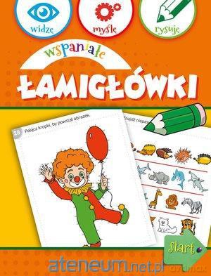 Widzę, myślę, rysuję. Wspaniałe łamigłówki [KSIĄŻKA]