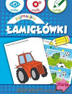 Widzę, myślę, rysuję. Zajmujące łamigłówki [KSIĄŻKA]