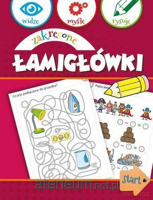 Widzę, myślę, rysuję. Zakręcone łamigłówki [KSIĄŻKA]