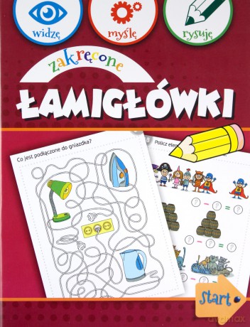 Widzę, myślę, rysuję. Zakręcone łamigłówki [KSIĄŻKA]