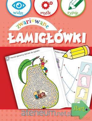 Widzę, myślę, rysuję. Zwariowane łamigłówki [KSIĄŻKA]