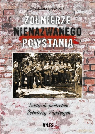 Żołnierze nienazwanego powstania - Waldemar Handke [KSIĄŻKA]