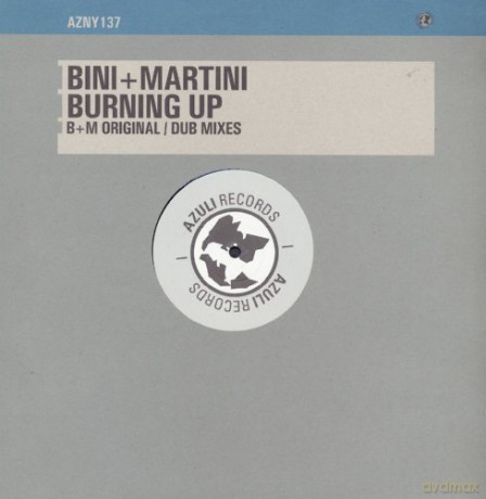 Bini + Martini: Burning Up [Winyl]