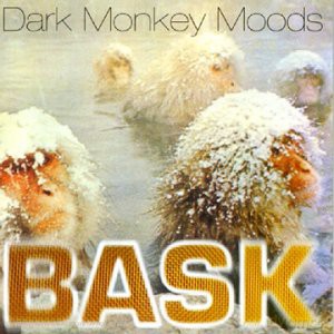 Bask: Dark Monkey Moods [2xWinyl]