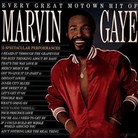Marvin Gaye: Every Great Motown Hit [Winyl]