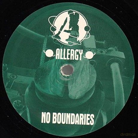 Allergy: No Boundaries [Winyl]