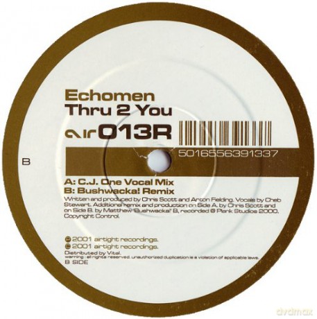 Echomen: Thru 2 You [Winyl]