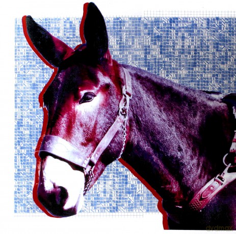 Protomartyr: Ultimate Success Today (Limited) (Blue) [Winyl]