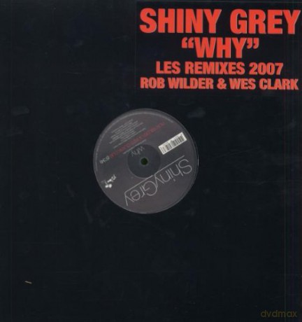 Shiny Grey: Why-The 2007 Remixes [Winyl]