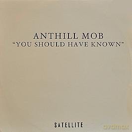 Anthill Mob: You Should Have Known [Winyl]