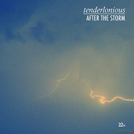 Tenderlonious: After The Storm [Winyl]