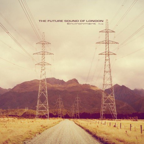 Future Sound Of London: Environment Five [Winyl]