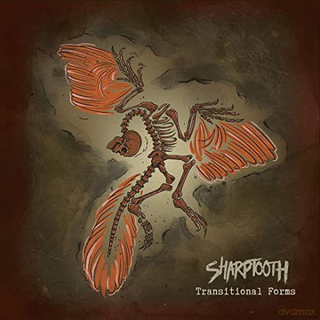 Sharptooth: Transitional Forms [Winyl]