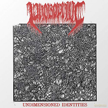 Phobophilic: Undimensioned Identities [Winyl]