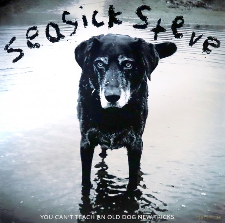 Seasick Steve: You CanT Teach An Old Dog New Tricks [Winyl]