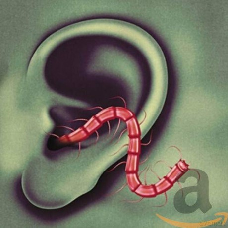 Thee Oh Sees: An Odd Entrances [Winyl]