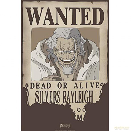 ONE PIECE - Poster Wanted Rayleigh (52x35)