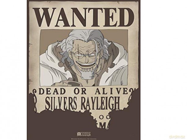 ONE PIECE - Poster Wanted Rayleigh (52x35)