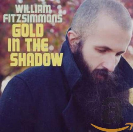 William Fitzsimmons: Gold in the Shadow [CD]