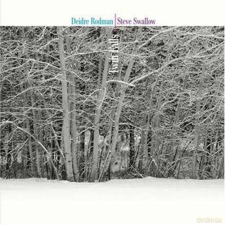 Deidre Rodman: Twin Falls [CD]