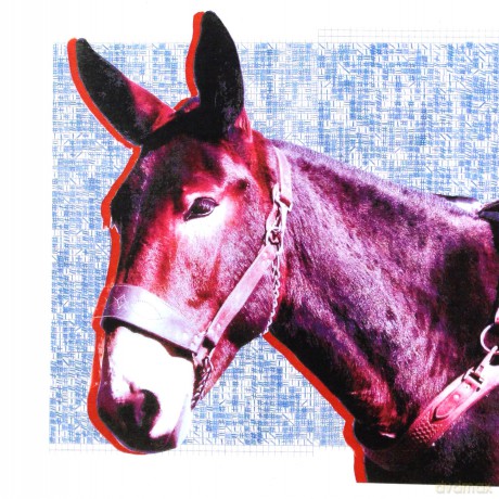 Protomartyr: Ultimate Success Today [CD]