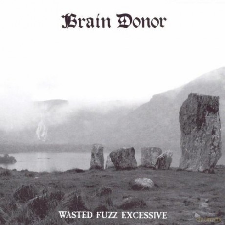 Brain Donor: Wasted Fuzz Excessive [CD]